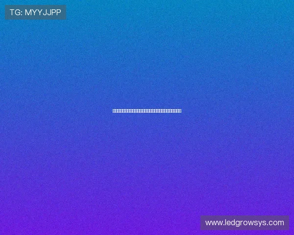 三亿体育网站登录账号安全策略全面解析保障用户信息安全无忧