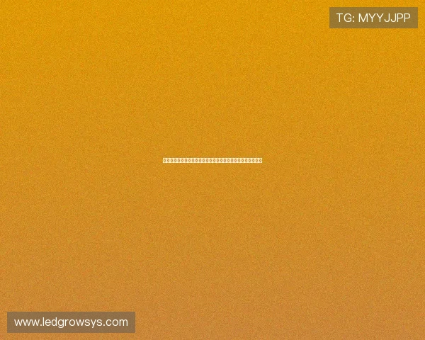 娱乐万人迷聚焦世界杯：明星球员的精彩表现与粉丝互动全报道