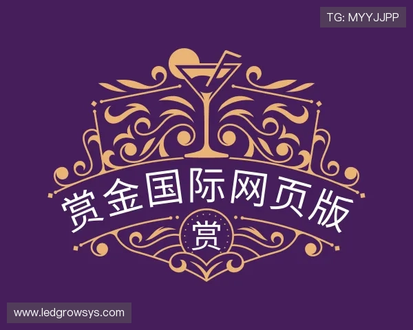 了解赏金国际网页版